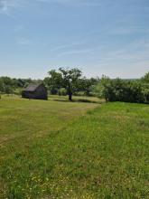 Fokovci. A view of the mowed lawn from the Fokovci cemetery, 17. May 2022. Photo archive PMMS.