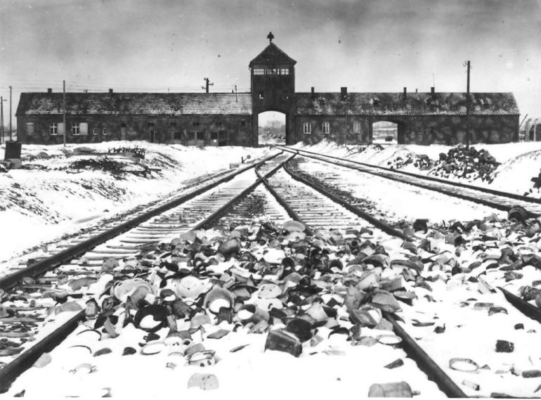 "Tu se je smrt utrudila do smrti ...": slovenske žrtve Auschwitza 