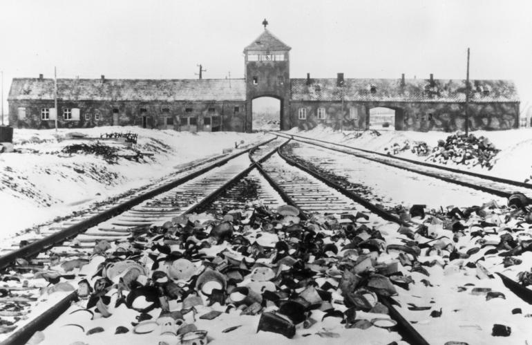 ŠOA 2024: "Tu se je smrt utrudila do smrti ...": slovenske žrtve Auschwitza