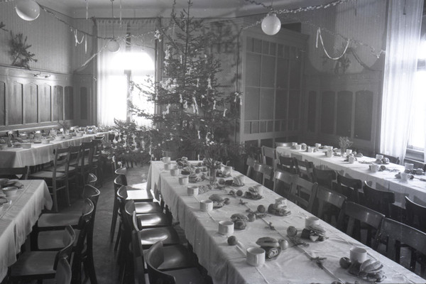 DECEMBRSKA DROBTINICA  - Prehrana božično-novoletnih praznikov