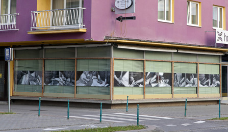 Mura open, street exhibition 